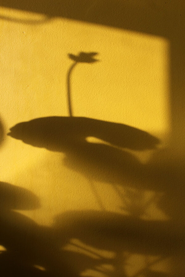 Springtime: Spud